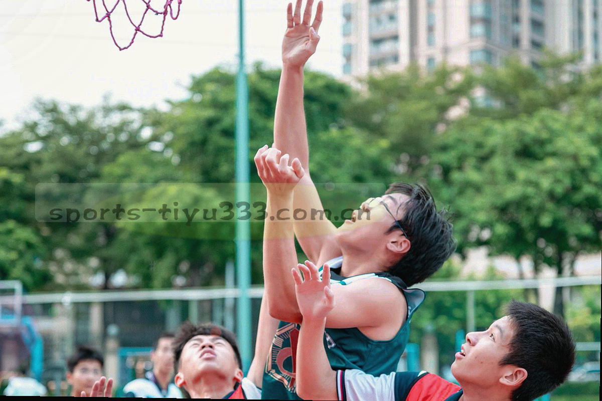 俯拍草皮上的横向光影刻度，从左到右分成五段明暗过渡